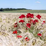 Σπίτι διακοπών 8531-grenaa-annettevej-9 *