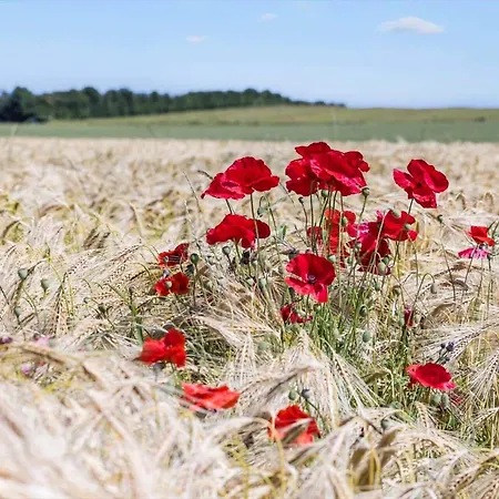 بيت للعطل 8531-grenaa-annettevej-9